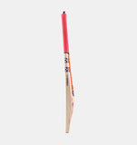 2024 GRAY-NICOLLS SHOCKWAVE GEN 2.1 5 STAR LITE BAT SH