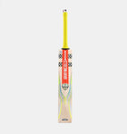 2024 GRAY-NICOLLS TEMPESTA GEN 1.0 300 CRICKET BAT SIZE 6