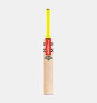 2024 GRAY-NICOLLS TEMPESTA GEN 1.0 300 CRICKET BAT HARROW