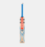 2024 GRAY-NICOLLS TEMPESTA GEN 1.1 300 CRICKET BAT HARROW