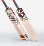 2024 KOOKABURRA BEAST 3.1 CRICKET BAT JUNIOR SIZE 5